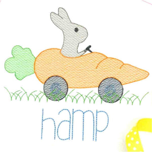Bunny & Carrot Car Shirt - Boy and Girl options